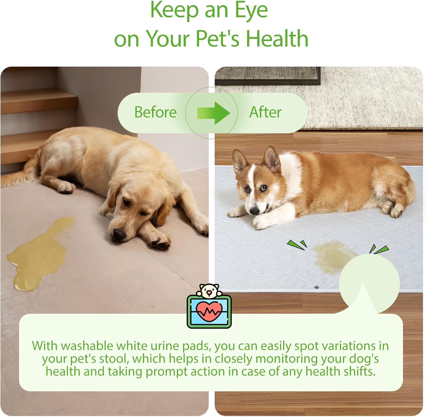 Detalle 1 de Artificial Grass for Dogs 46x71cm