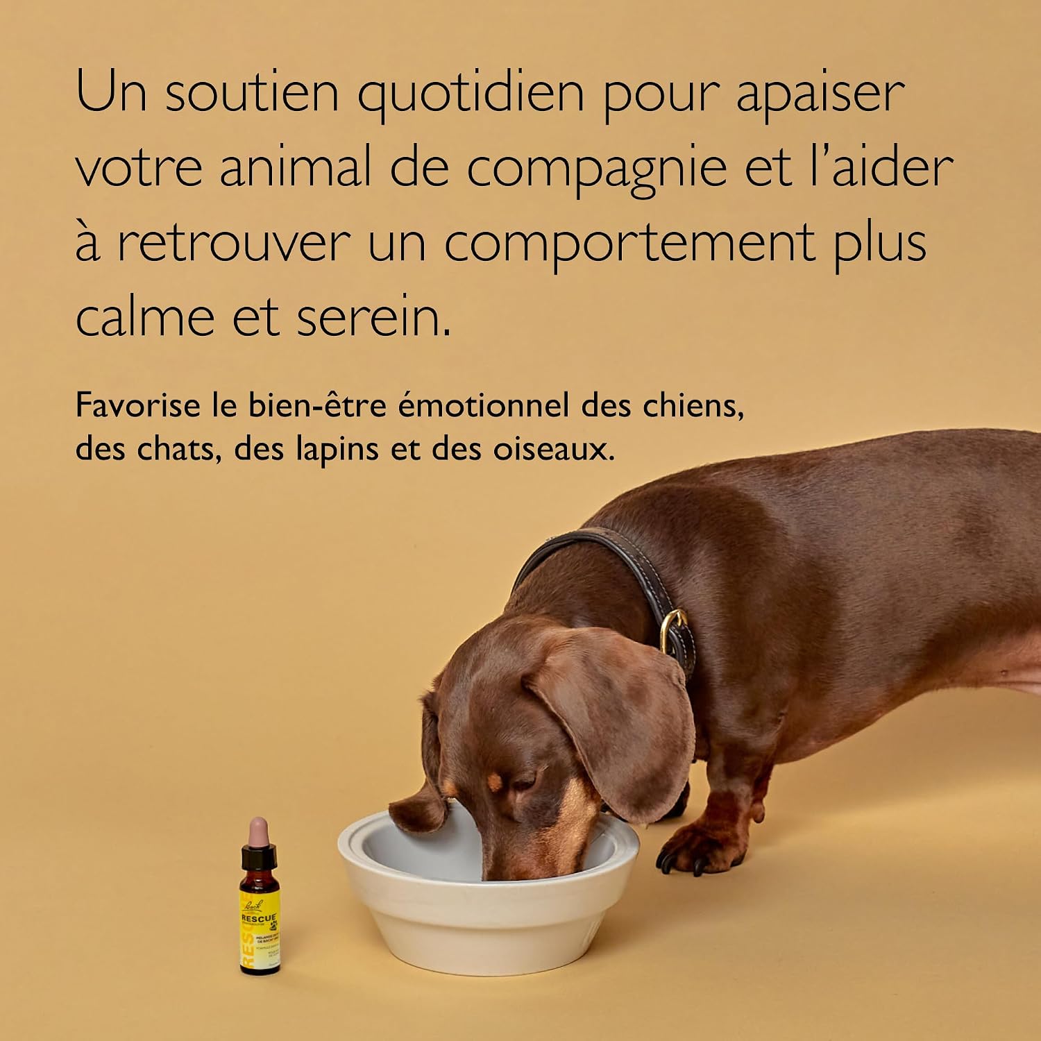 Detalle de Rescue Pets Compte-Gouttes: La sérénité pour animaux de compagnie, Vegan, flacon 10 ml