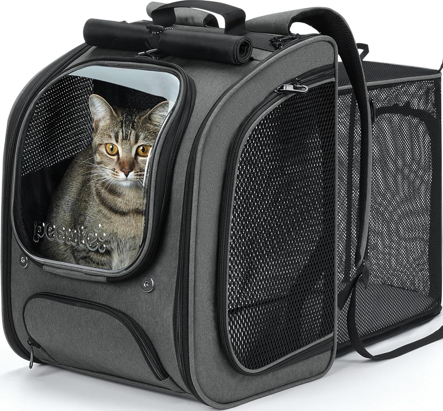 Pecute Scalabile Zaino Trasportino per Gatti 42×32×26 cm