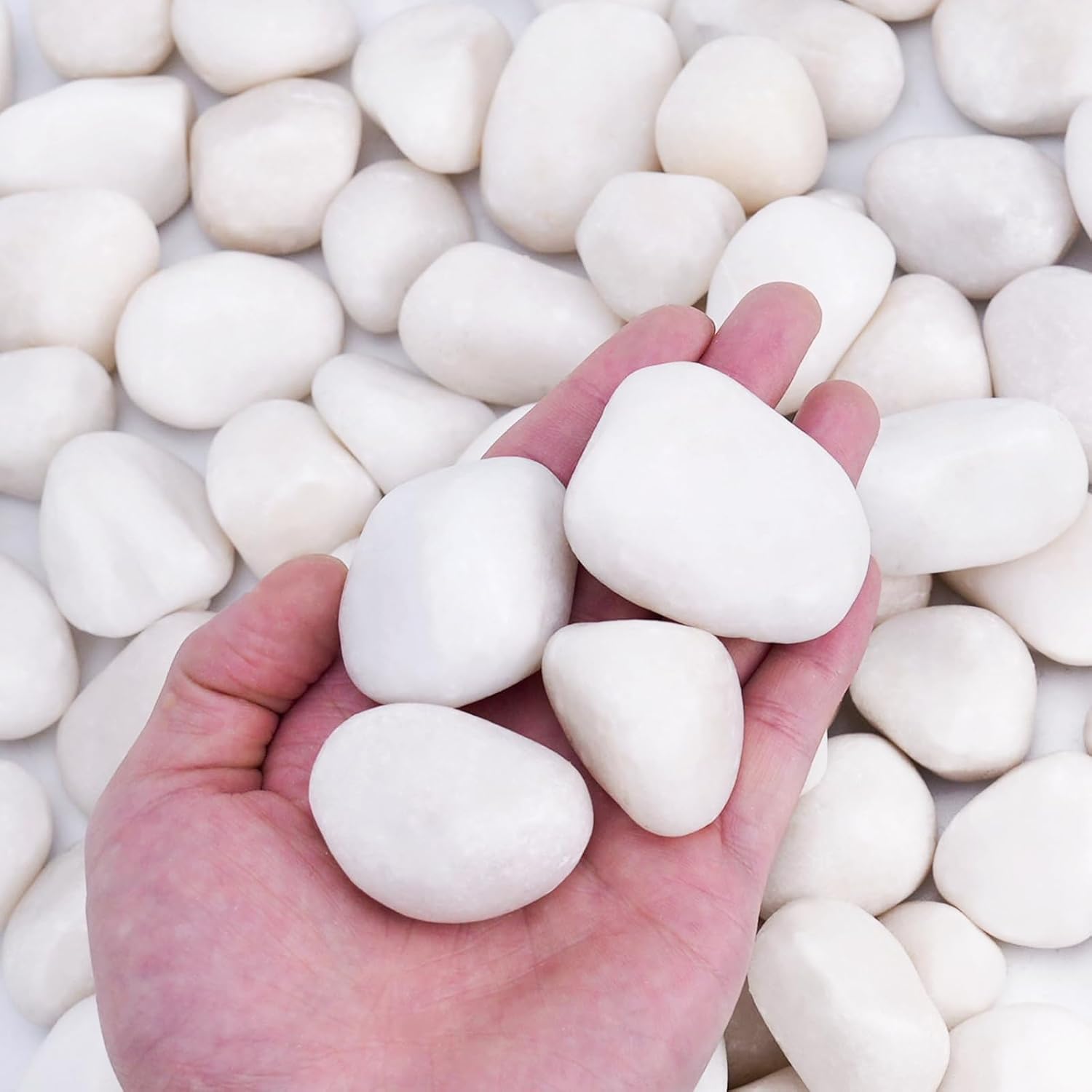 Detalle de Pulovin White River Rocks, 15 lb, 1–2 Inch Polished Landscaping Stones