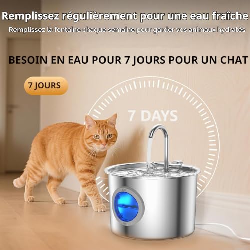 Detalle de Fontaine à Eau pour Chat 2,2 L INOX JLVDXN – eau en mouvement et filtration efficace