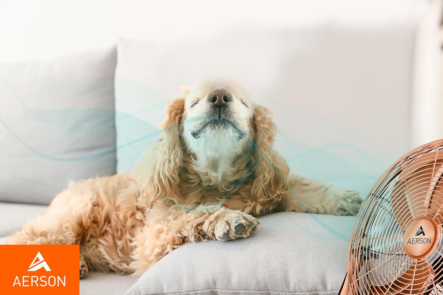 Thumbnail 6 de TRESKO AERSON ventilatore da pavimento 60 cm con 3 livelli di potenza e inclinazione fino a 110°