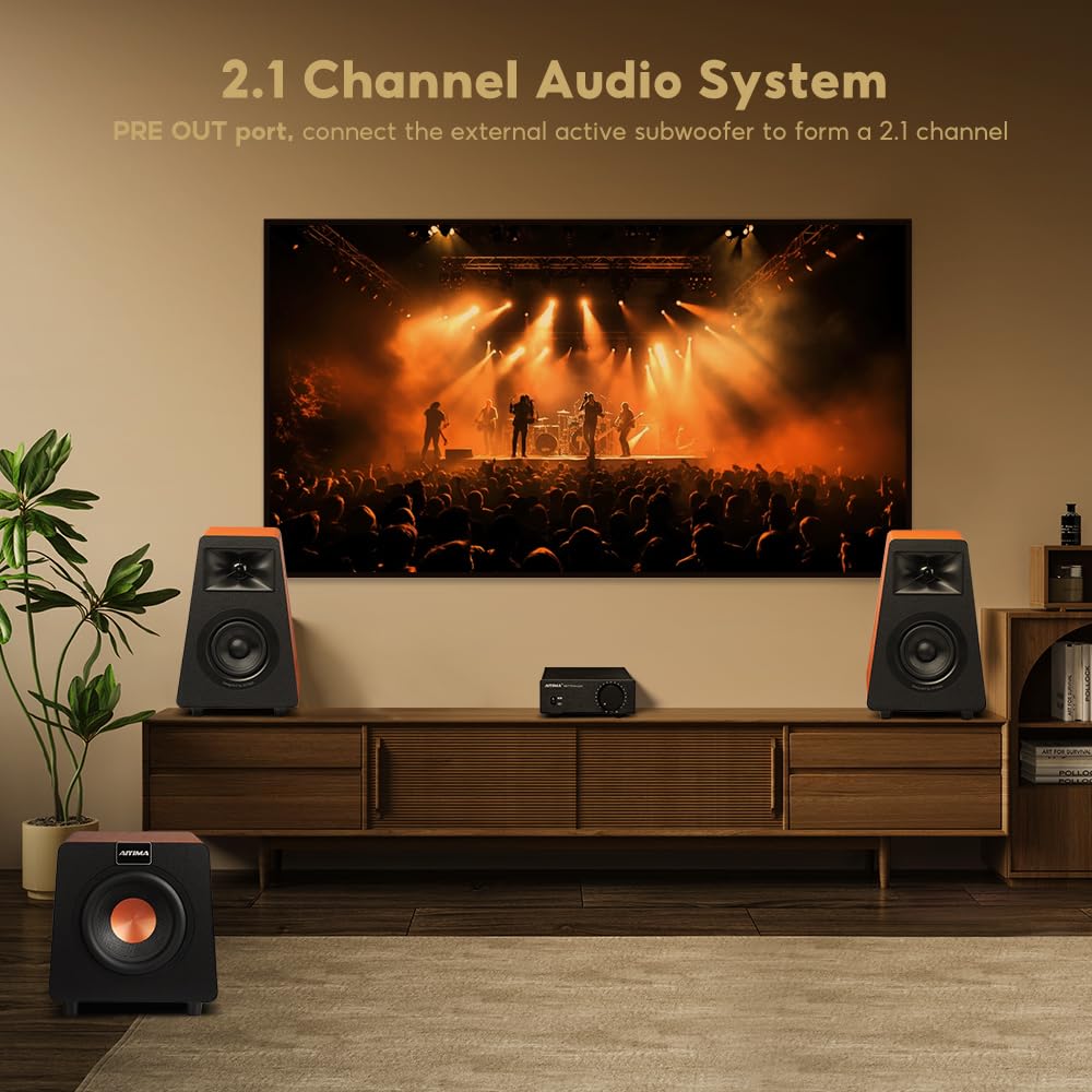Detalle de AIYIMA A07 TPA3255 Class D amp 300W x2
