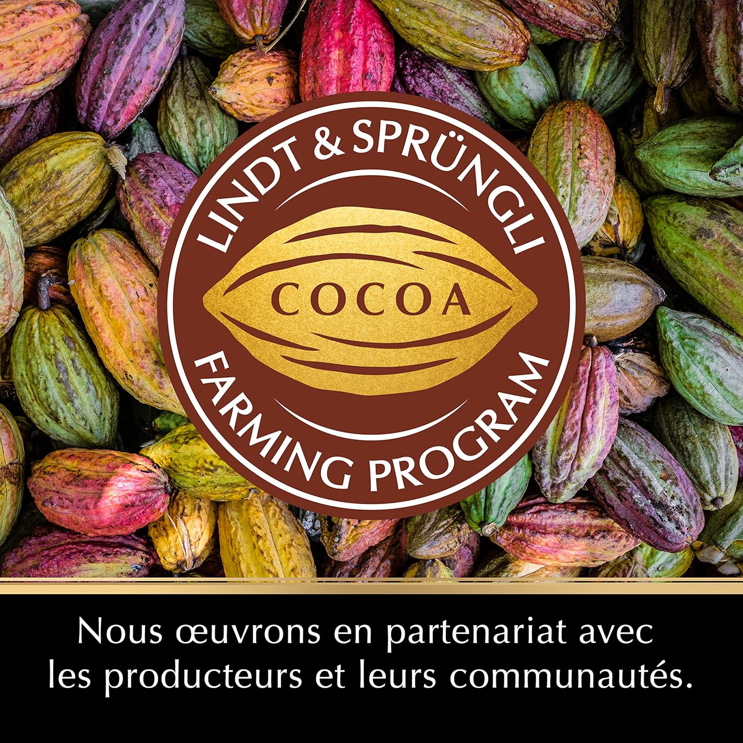 Thumbnail 3 de Lindt Présentoir de 24 barres EXCELLENCE – Chocolat noir 70% cacao (24×35 g)
