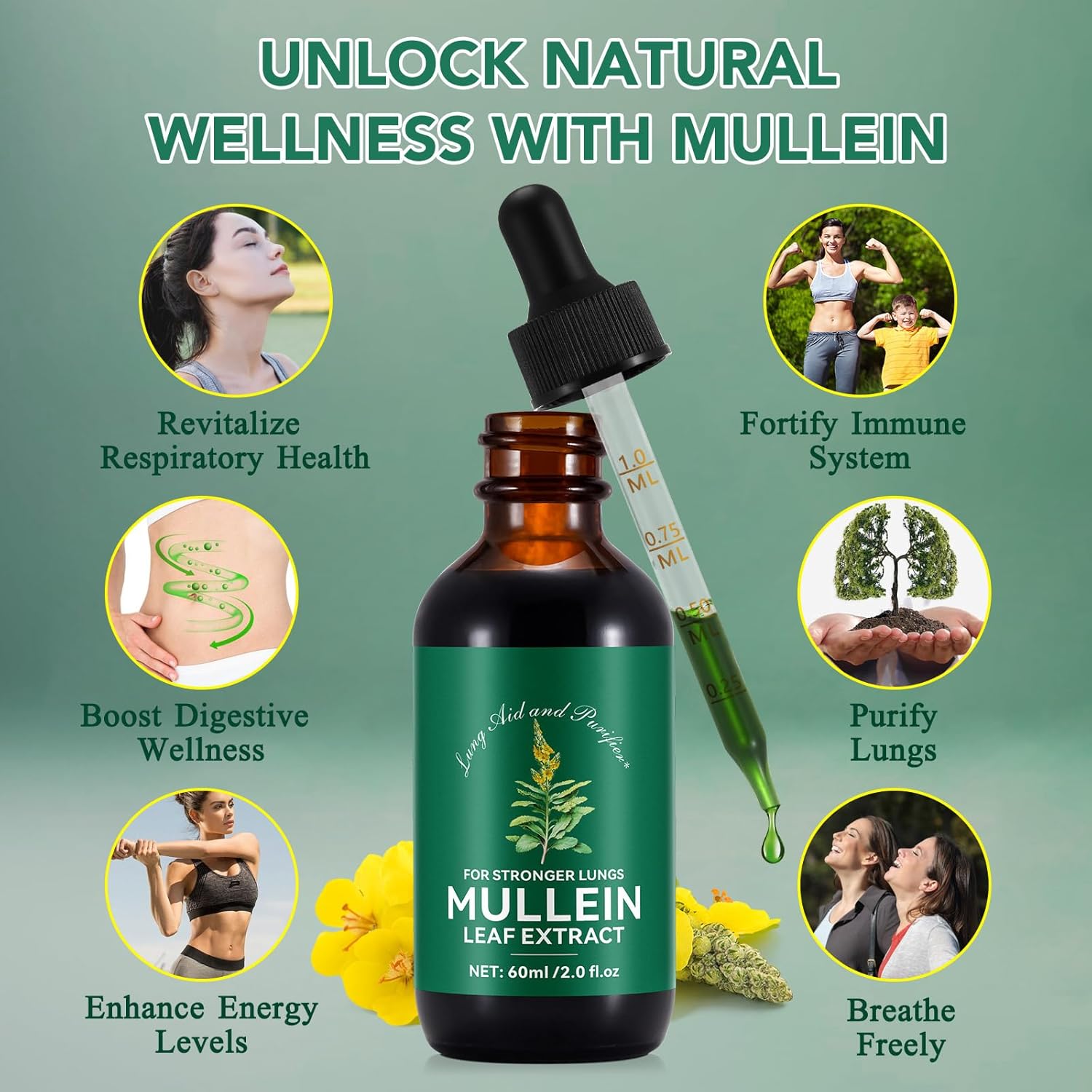 Thumbnail 1 de Mullein Leaf Extract for Lungs 60ML Drops — Premium Vegan Lung Support