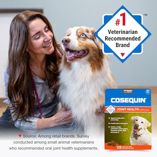 Thumbnail 3 de Nutramax Cosequin Joint Supplement for Dogs — Soft Chews, 120 Count
