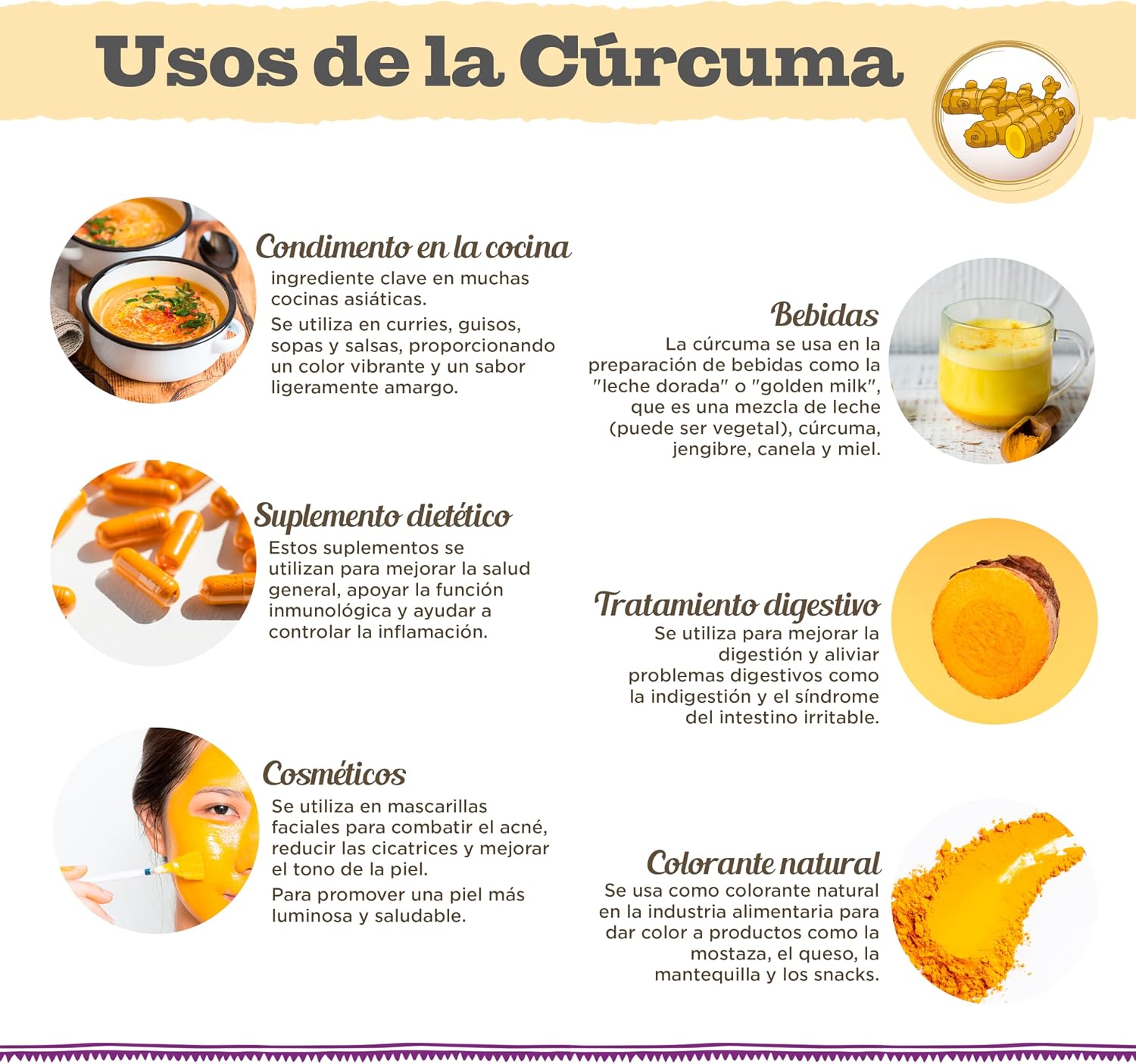 Thumbnail 4 de DRASANVI Cúrcuma Biomás Antiinflamatoria Vegana 150g