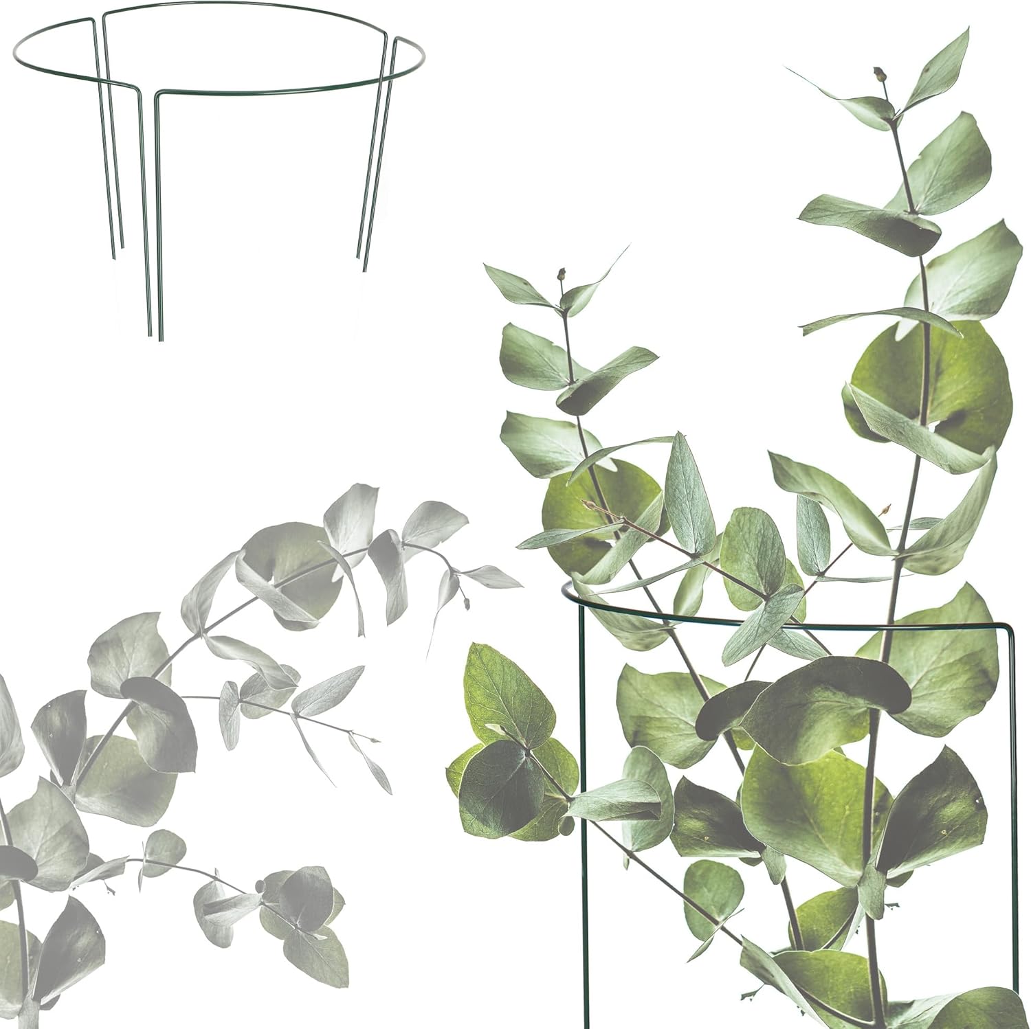 Thumbnail 4 de COM-FOUR 6X macetero 35 cm