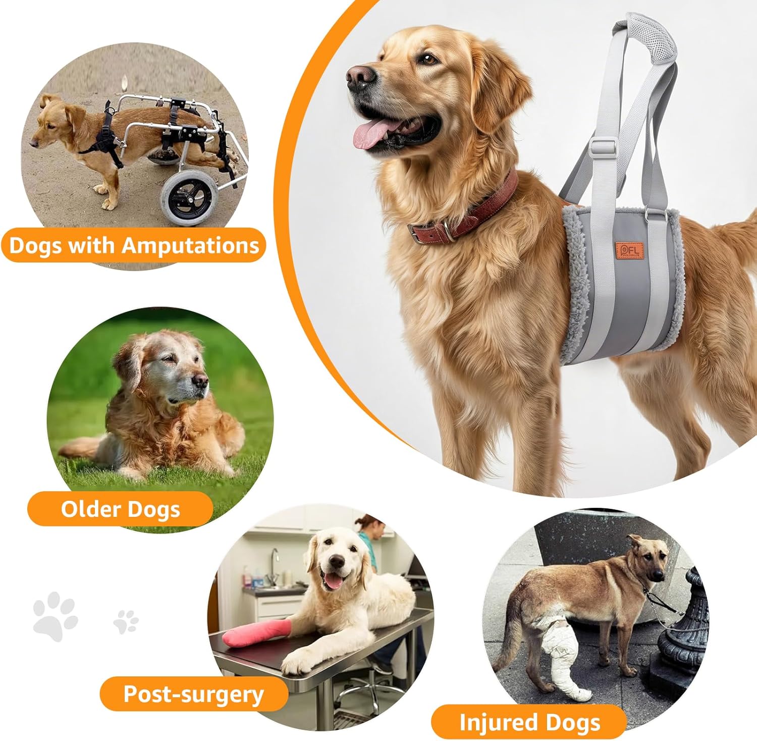 Thumbnail 5 de Adjustable Dog Lifting Harness: Support & Rehab for Weak Rear Legs (Grey, L)
