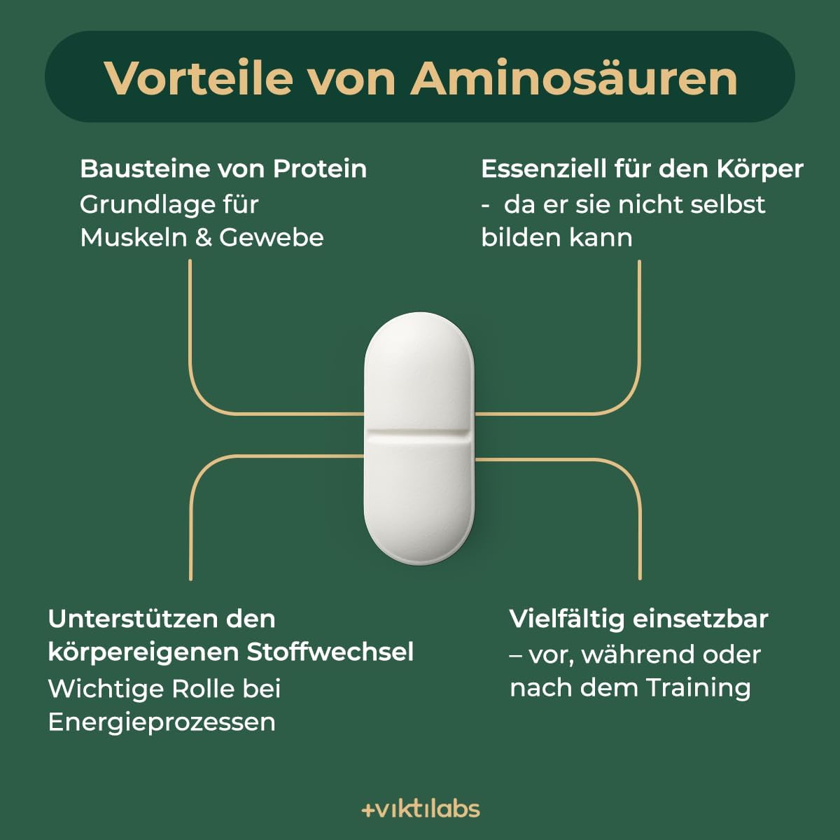 Detalle 2 de VIKTILABS AMINO 8 Aminosäuren Komplex 998 mg 💊