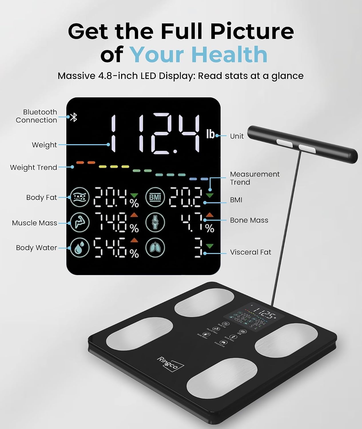 Detalle 2 de RINGCO CS10E Body Pod Smart Scale, 8-Electrode Analysis, 12.2-Inch Platform