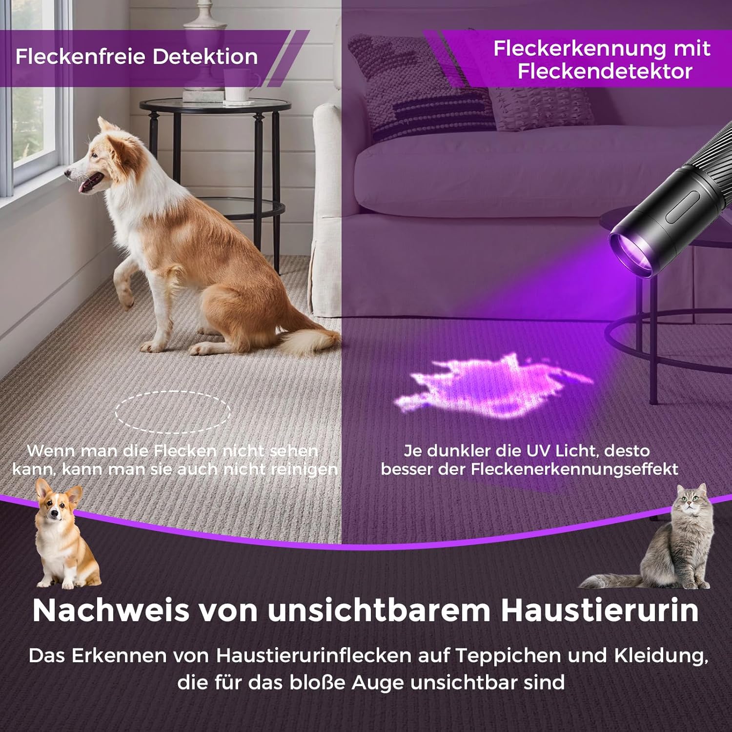 Detalle 2 de GEARLITE Wiederaufladbar LED UV 395nm Taschenlampe