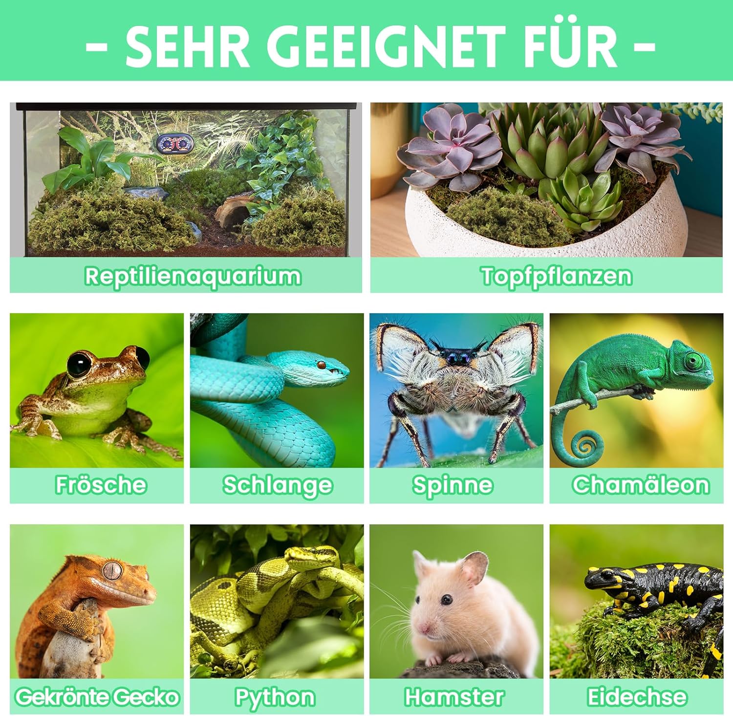 Thumbnail 5 de Riare 200 g natürliches Sphagnum Moos für Terrarien, Reptilien und feuchte Bereiche