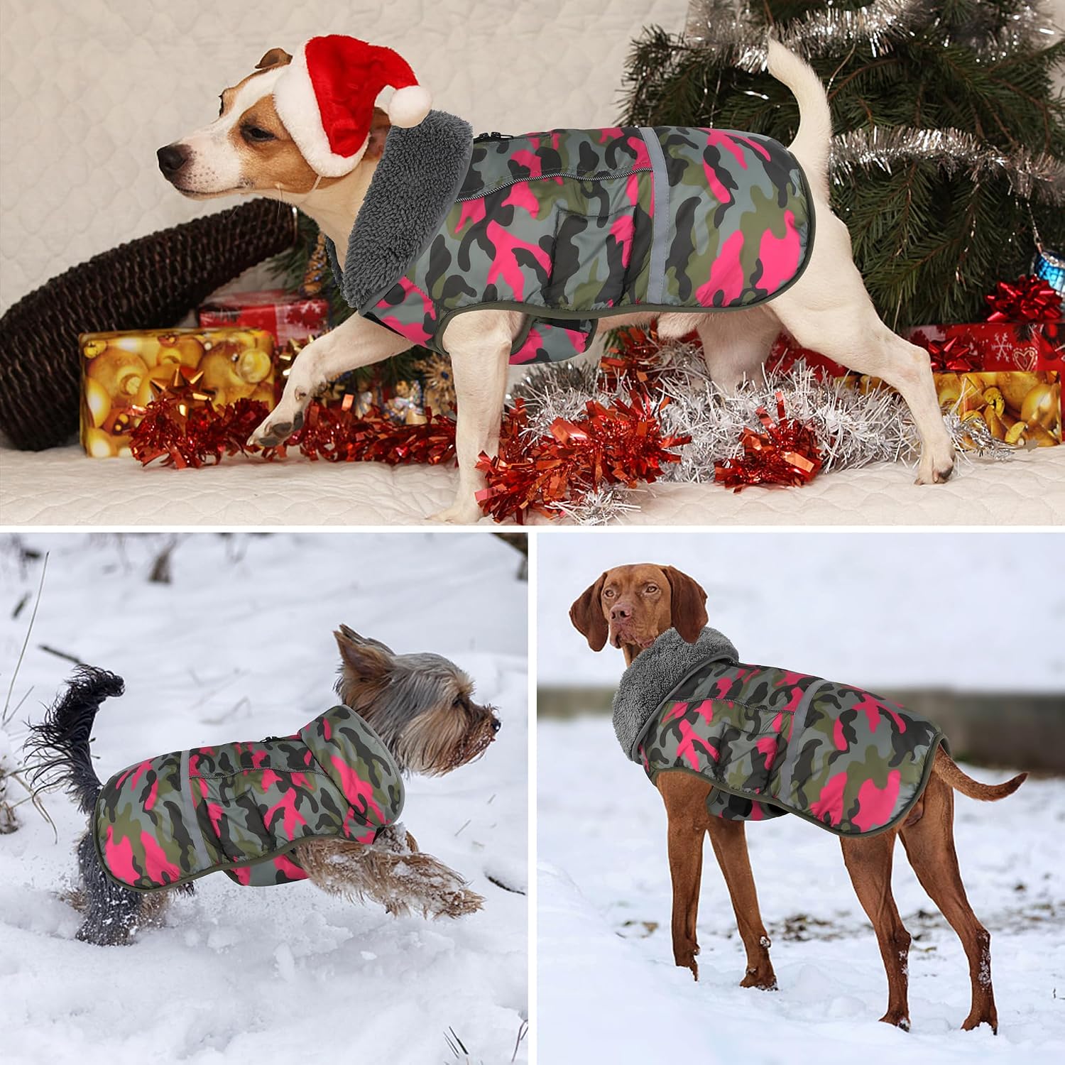 Detalle de Dogcheer Dog Coat, 3XL