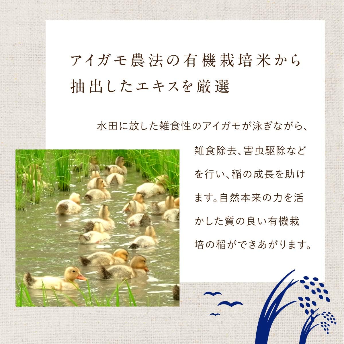 Thumbnail 6 de MOMOTANI お米の保湿ジェル 230g|無香料・日本製、顔にも全身にも使える米由来ジェル