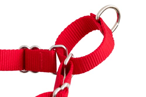Thumbnail 7 de PetSafe Easy Walk - Arnés Antitirones para Perros 🐾