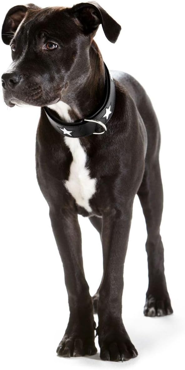 Thumbnail 4 de HUNTER MAGIC STAR Hundehalsband – Leder, Sternendesign, schwarz, Größe 42 (S-M)
