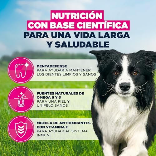 Thumbnail 4 de Eukanuba alimento pollo fresco 15 kg