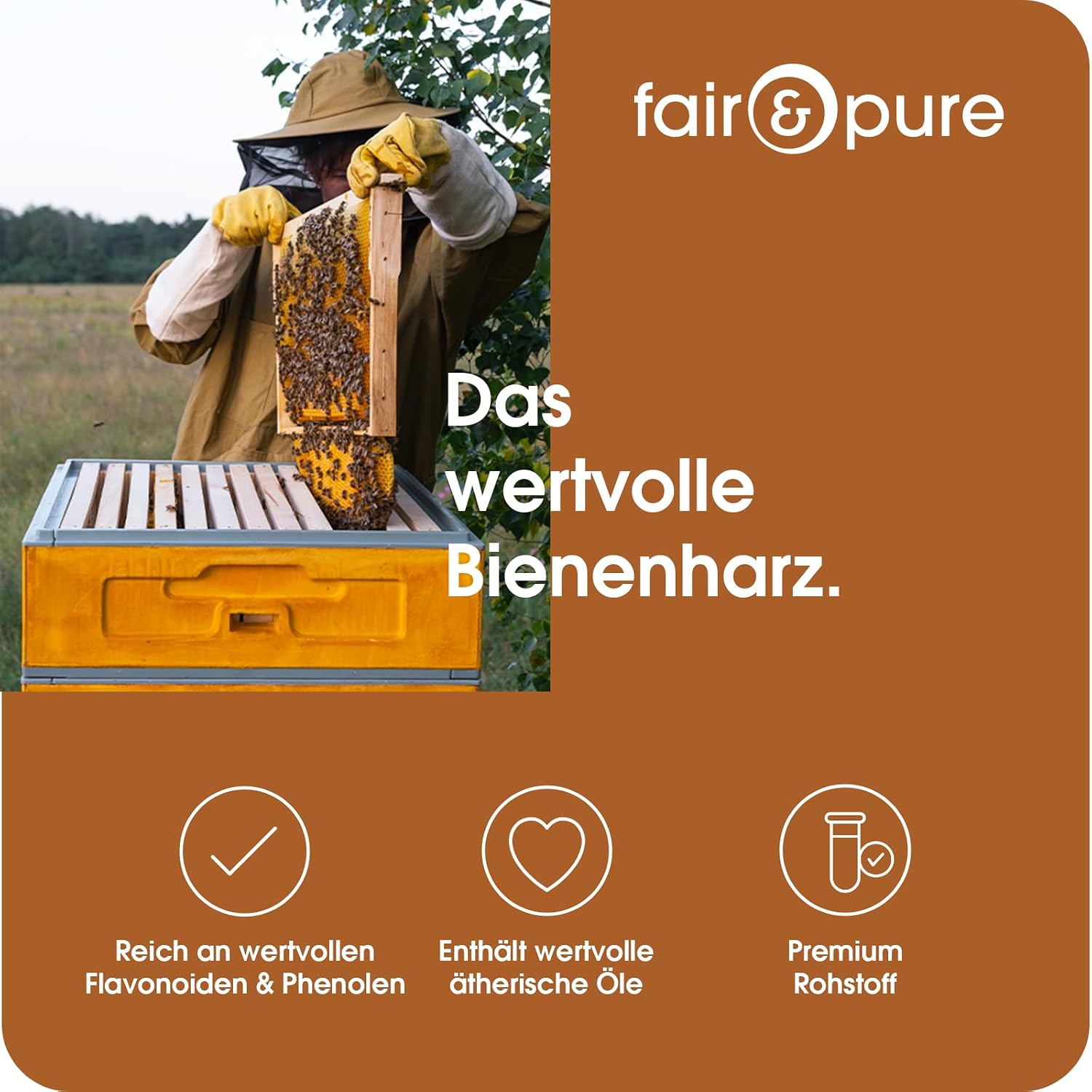 Detalle de Fair & Pure Bienen Propolis 1000mg Tagesdosis – 90 Kapseln, natürliches Bienenharz, hergestellt in Deutschland