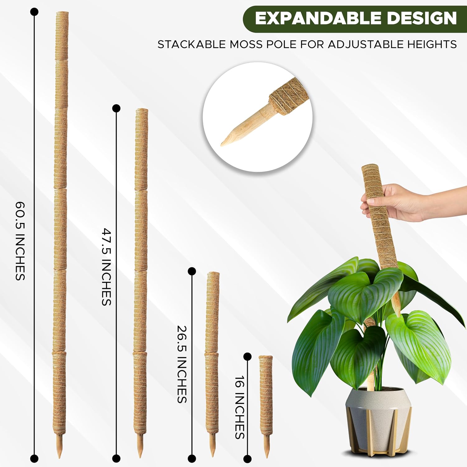 Detalle de EcoNour EcoMP Coir Moss Pole Set, Stackable Plant Supports