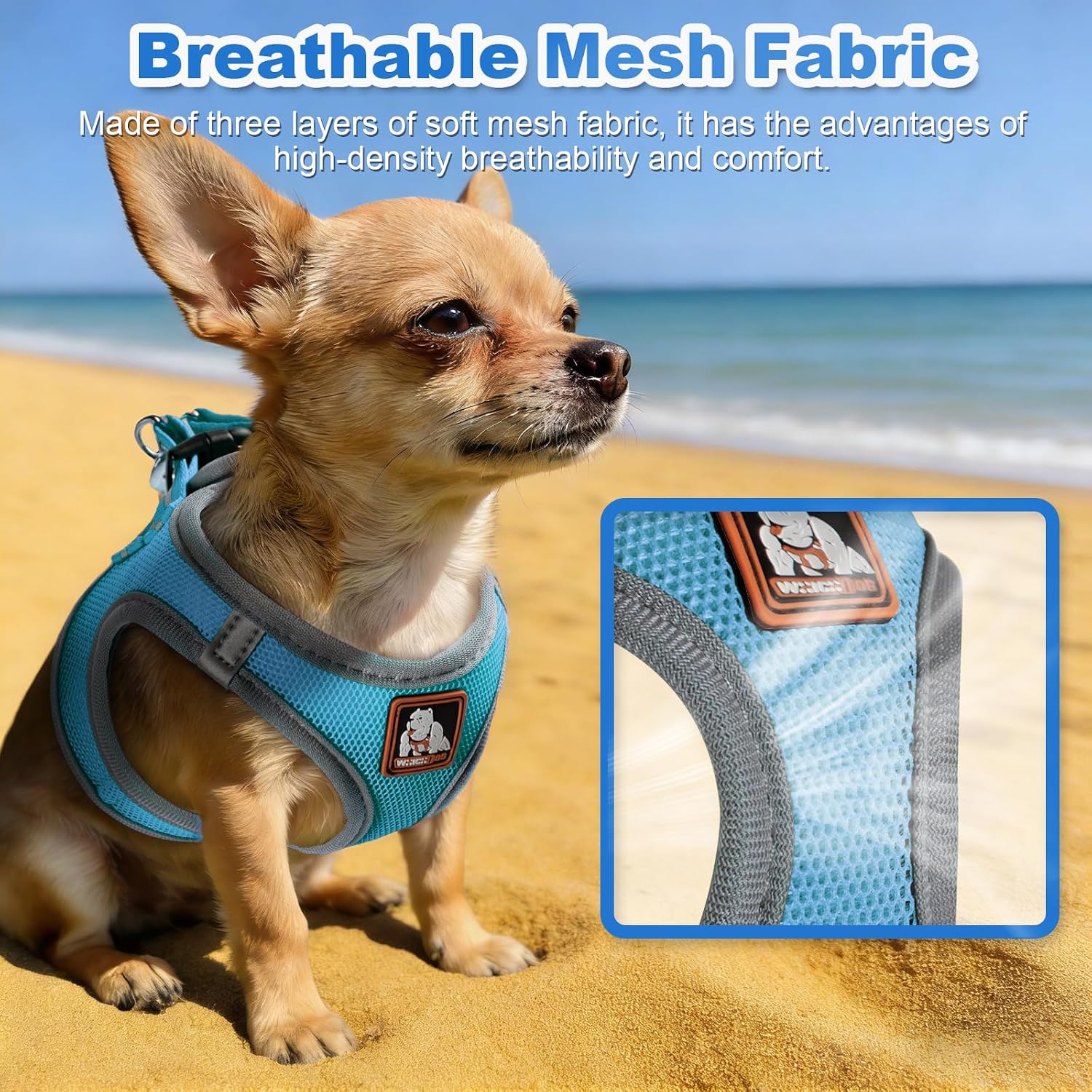 Detalle 2 de Dog Harness and Leash Set, Size S