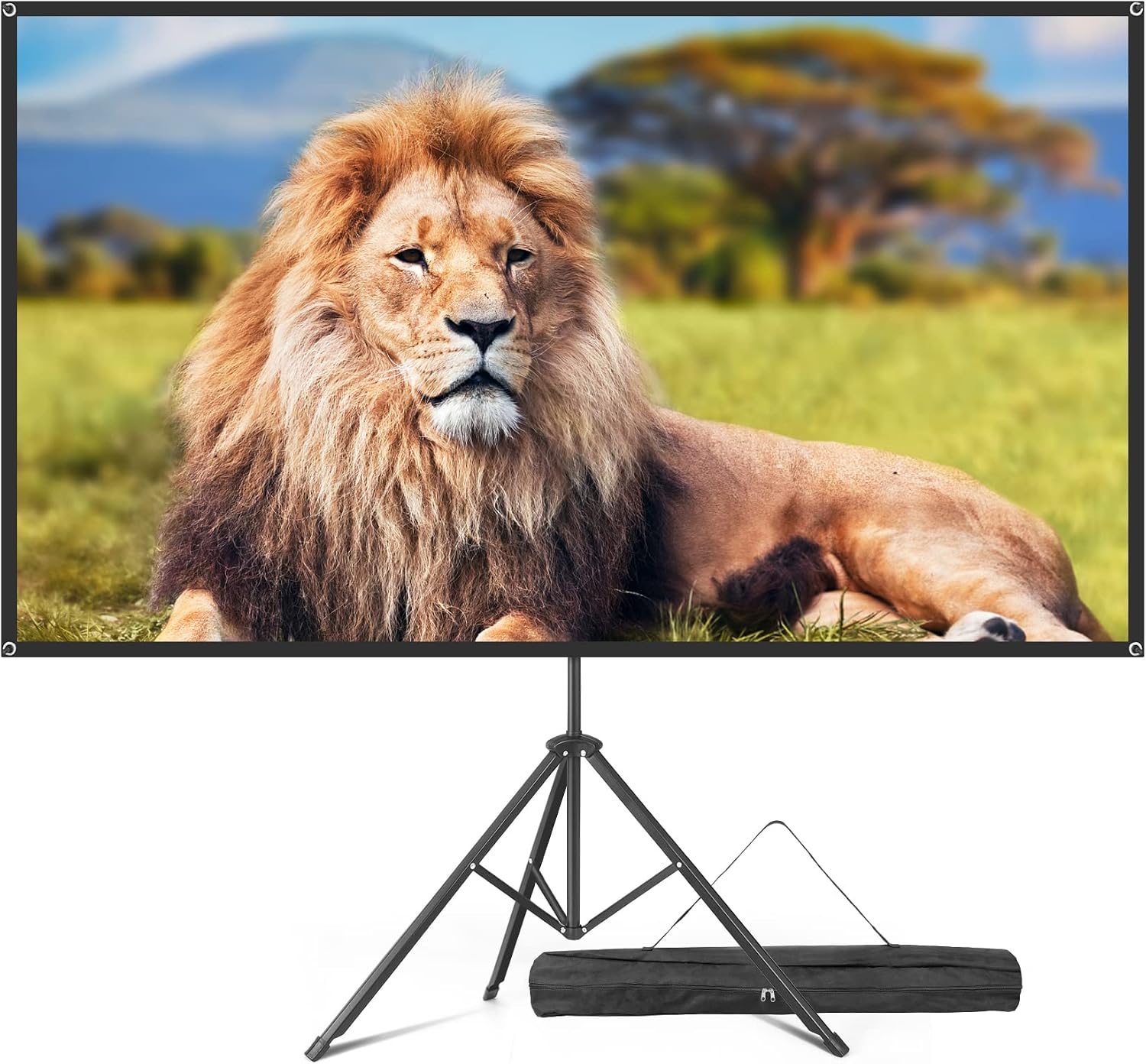 VISULAPEX 2025 80” fiberglass projector screen