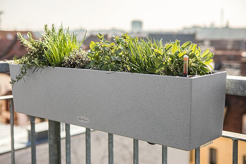 Thumbnail 4 de Lechuza Balconera Stone 80 - Maceta de riego automático 🌱