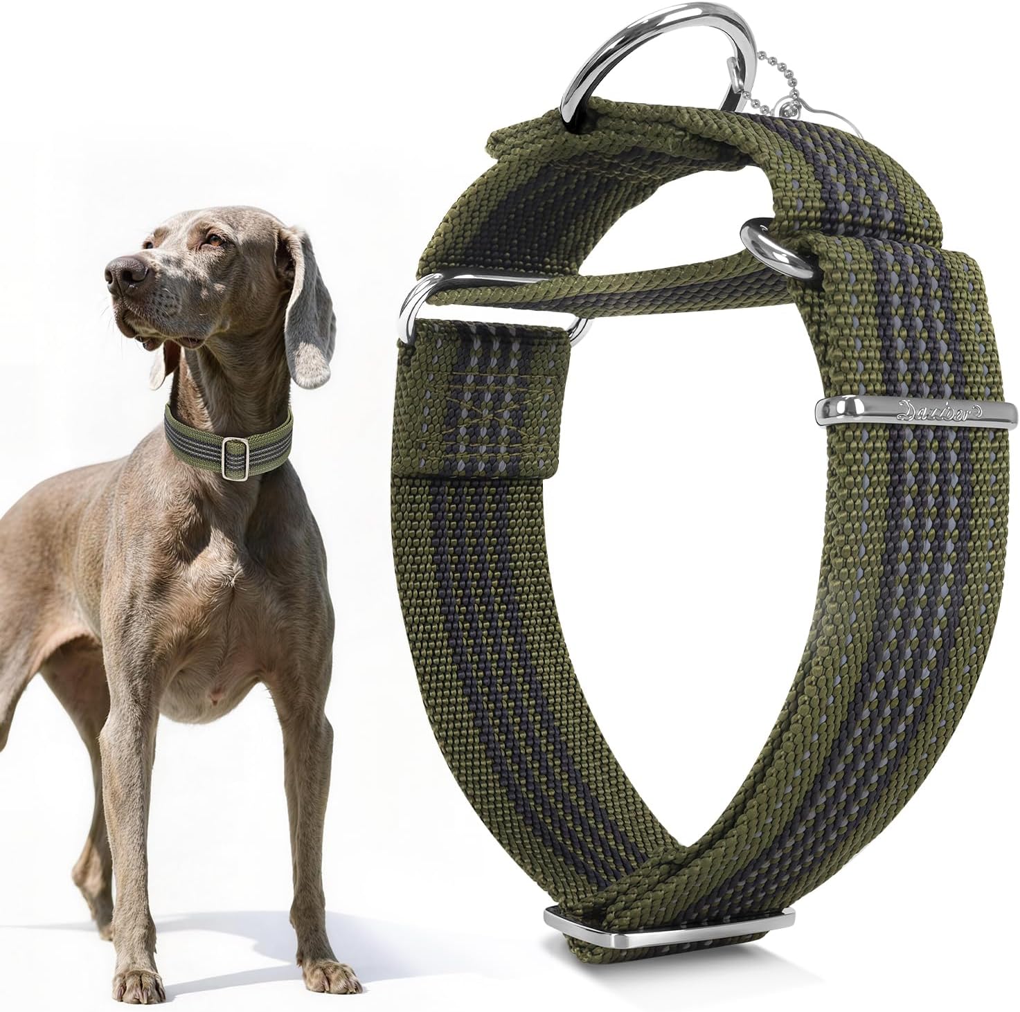 Thumbnail 6 de Dazzber 1.5" Martingale Dog Collar for Medium to Large Dogs (Baby Blue, M) – Escape-Proof, Reflective Nylon