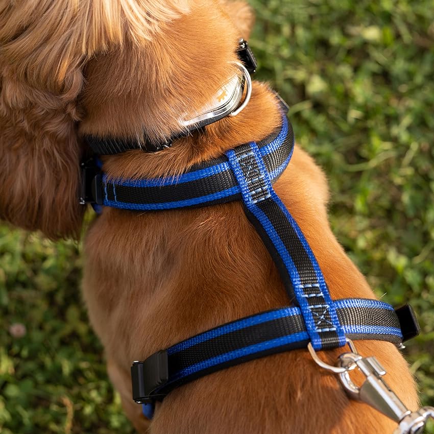 Detalle 2 de Ferplast ERGOCOMFORT correa perros 120 cm azul