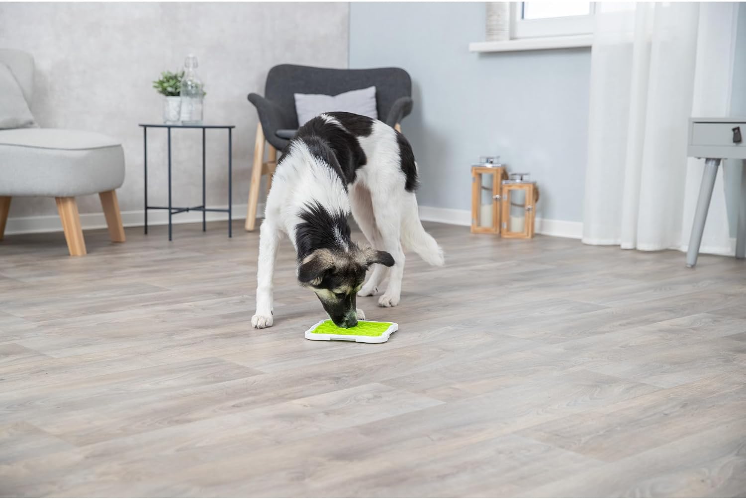 Detalle 2 de Trixie Lick'n Snack Licking Plate – Slow Feeder (Medium, Green) for Dogs and Cats