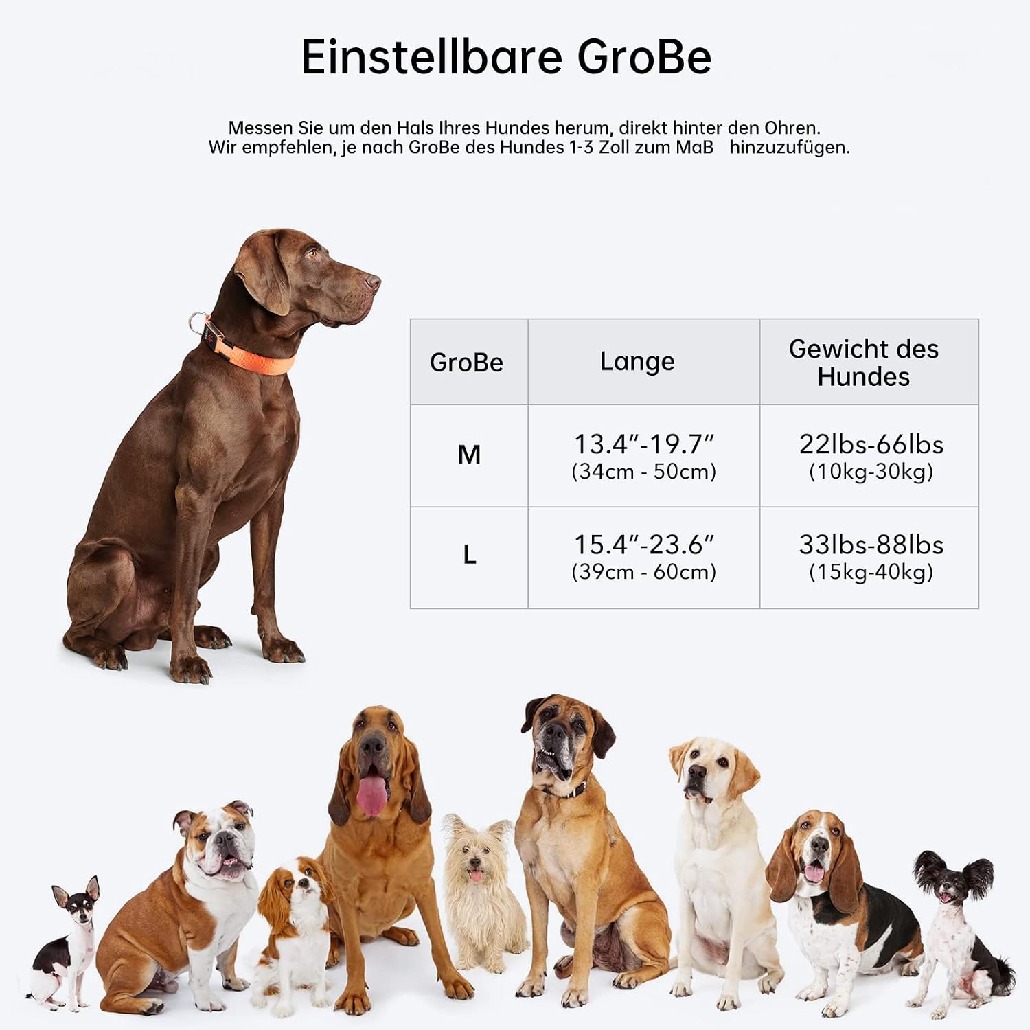 Detalle de KOSKILL Leuchthalsband für Hunde, USB-wiederaufladbar (Orange, L)
