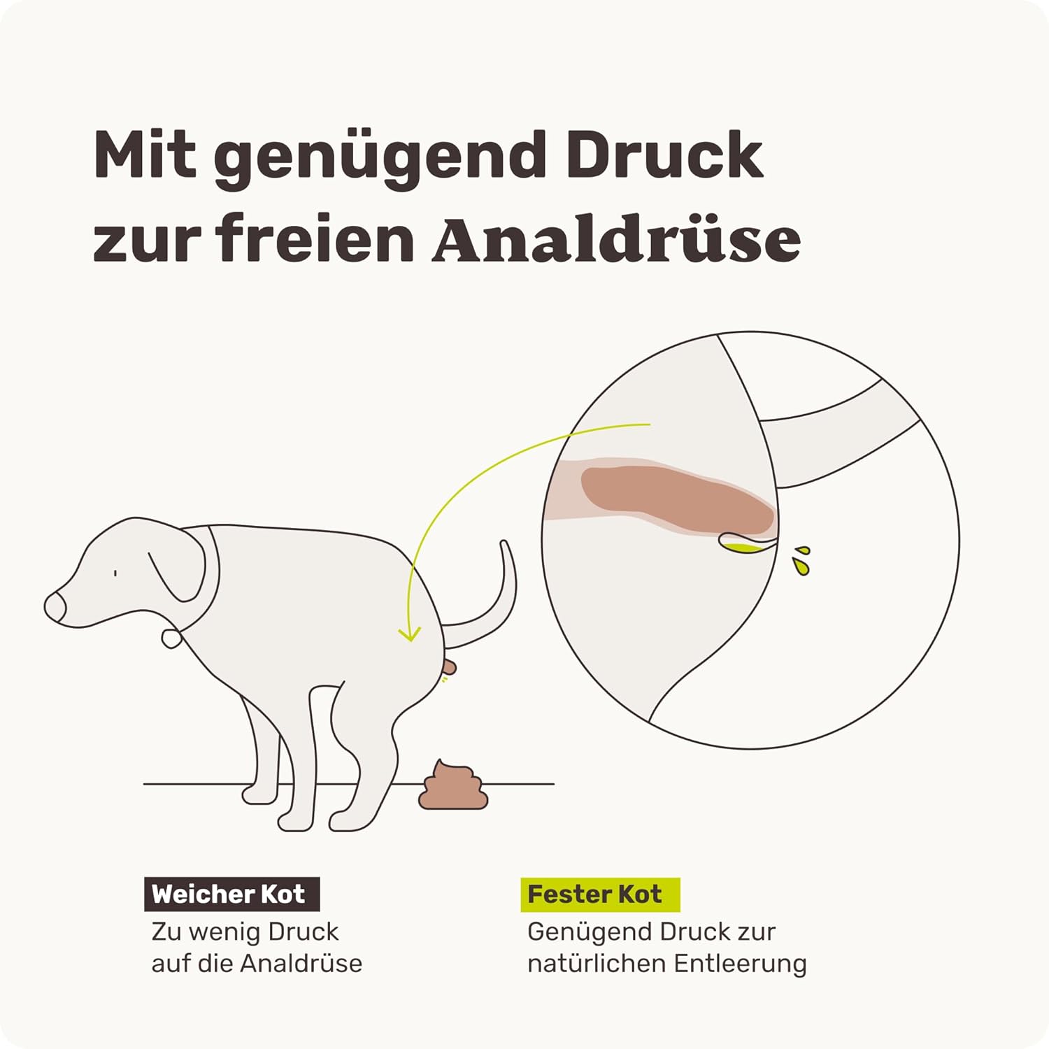 Detalle 2 de mammaly Analdrüsen 9in1 Leckerli 120 Snacks