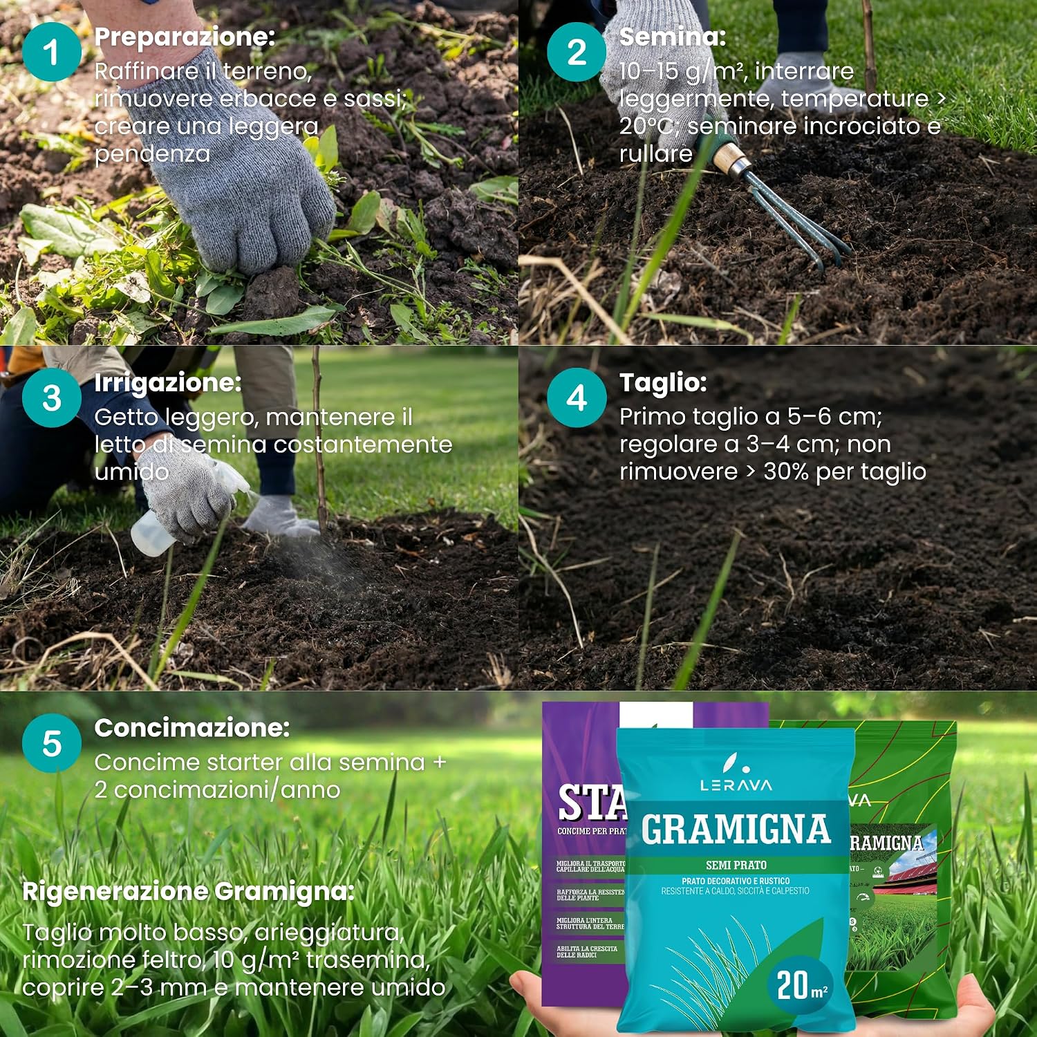 Thumbnail 6 de LERAVA Semi Gramigna per Prato (200 g) – Copertura 20 m², resistenza al calpestio e siccità
