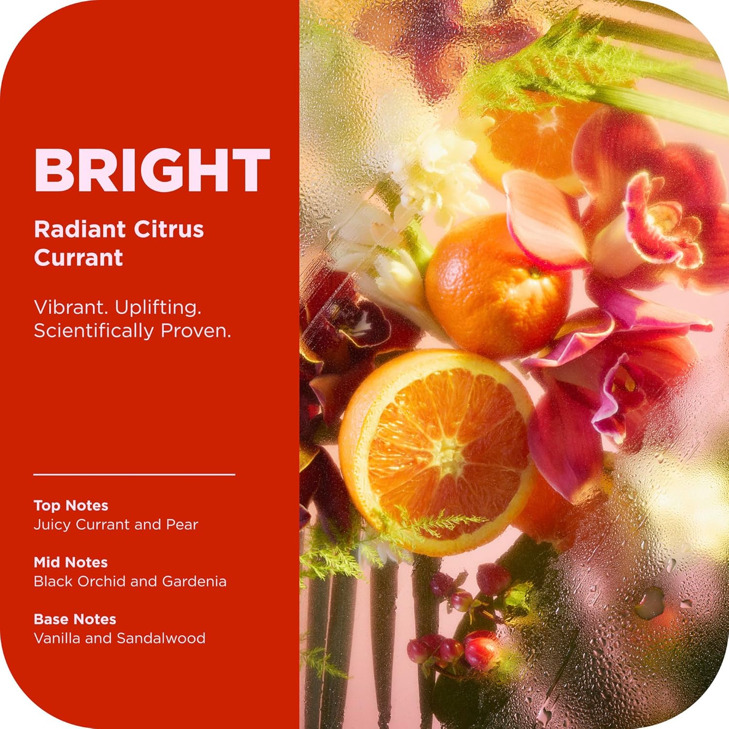 Thumbnail 2 de OLLY Bright Gel Shower with Ginseng, Caffeine & Vitamin C