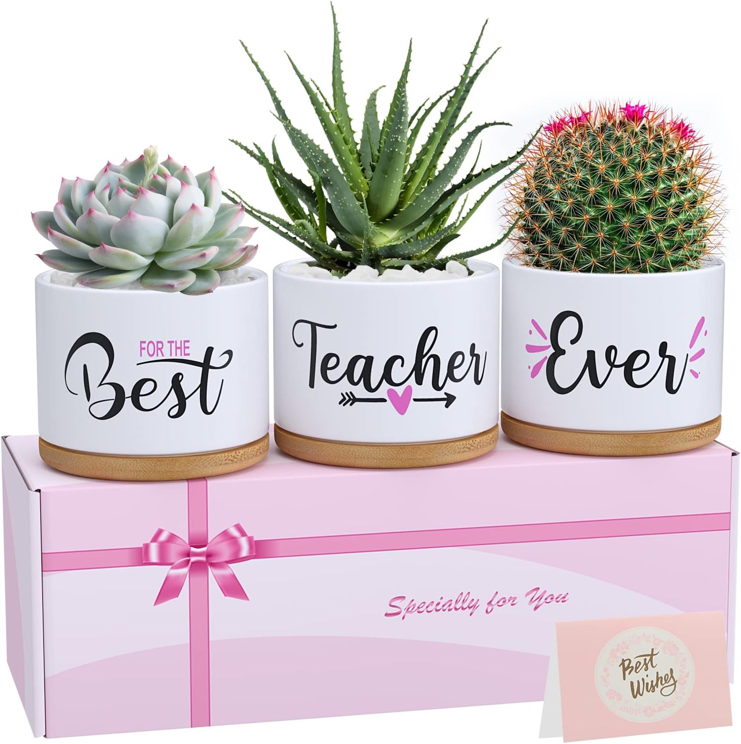 Detalle de Teacher Appreciation Gifts for Women: Best Teacher Ever Ceramic Succulent Pots
