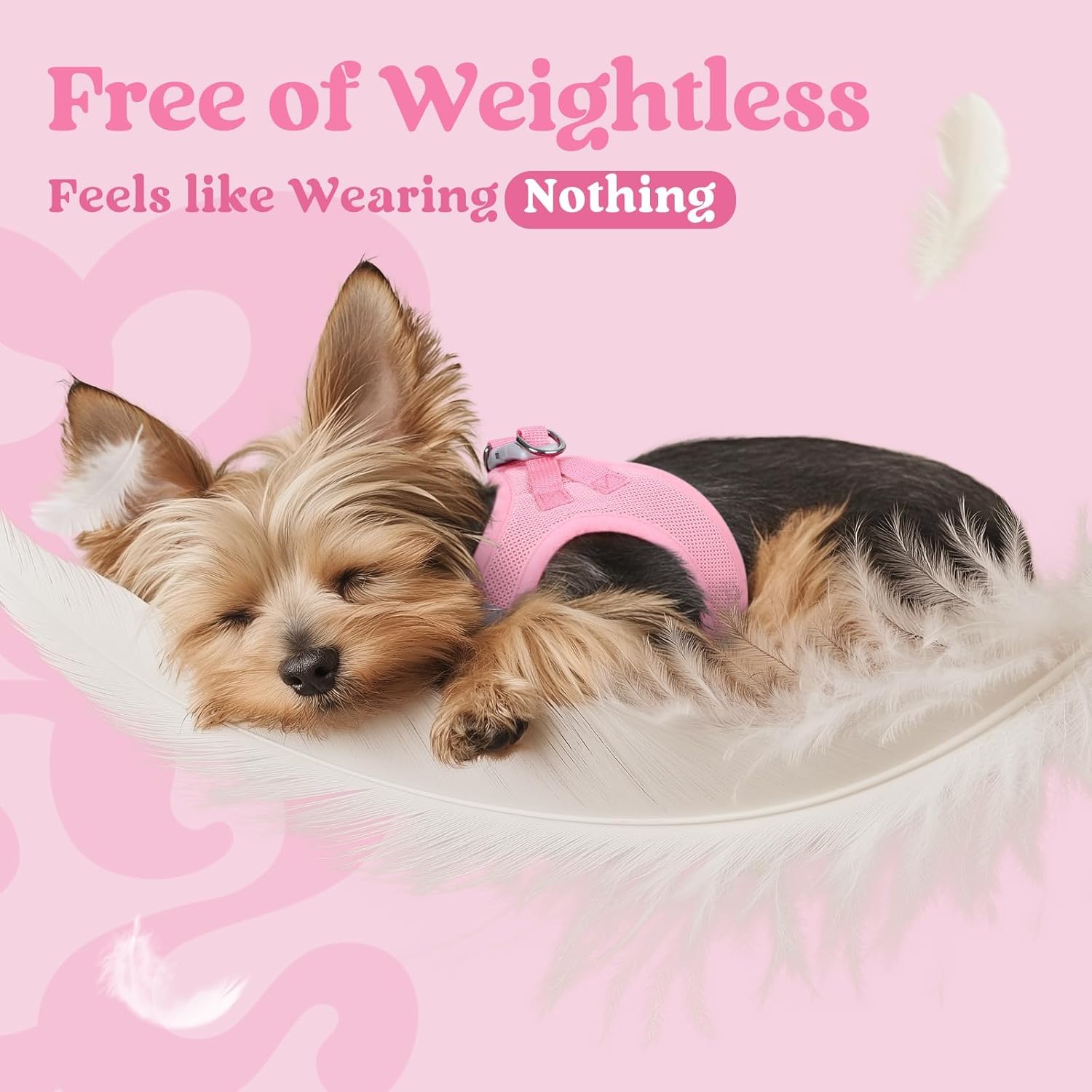 Thumbnail 4 de rabbitgoo Small Dog Step-In Soft Mesh Harness (XS) – Reflective, Lightweight and Easy-Fit