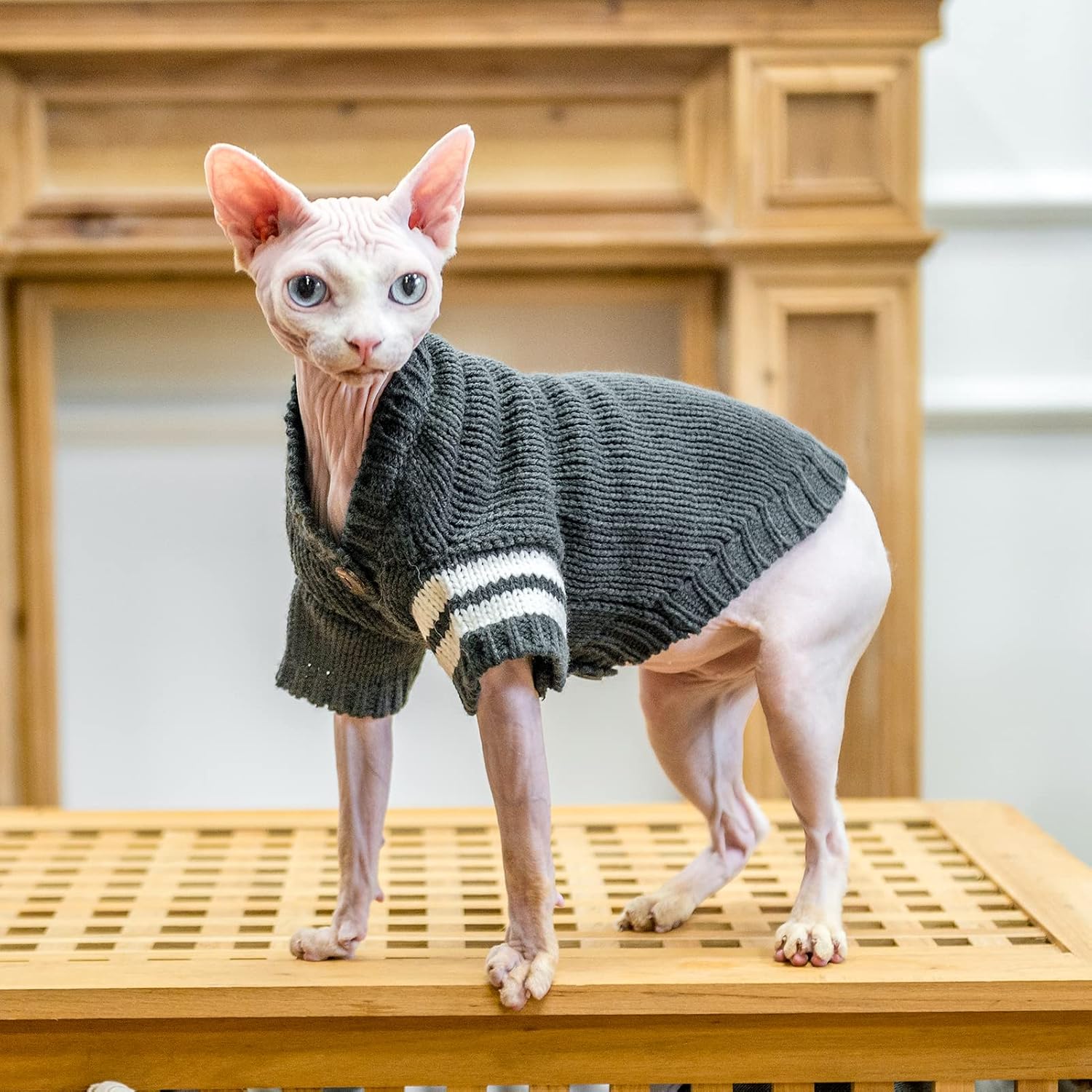 Thumbnail 6 de EXPAWLORER CS001GRY-S-01 Cat Sweater, Gray Knit Cardigan with Buttons
