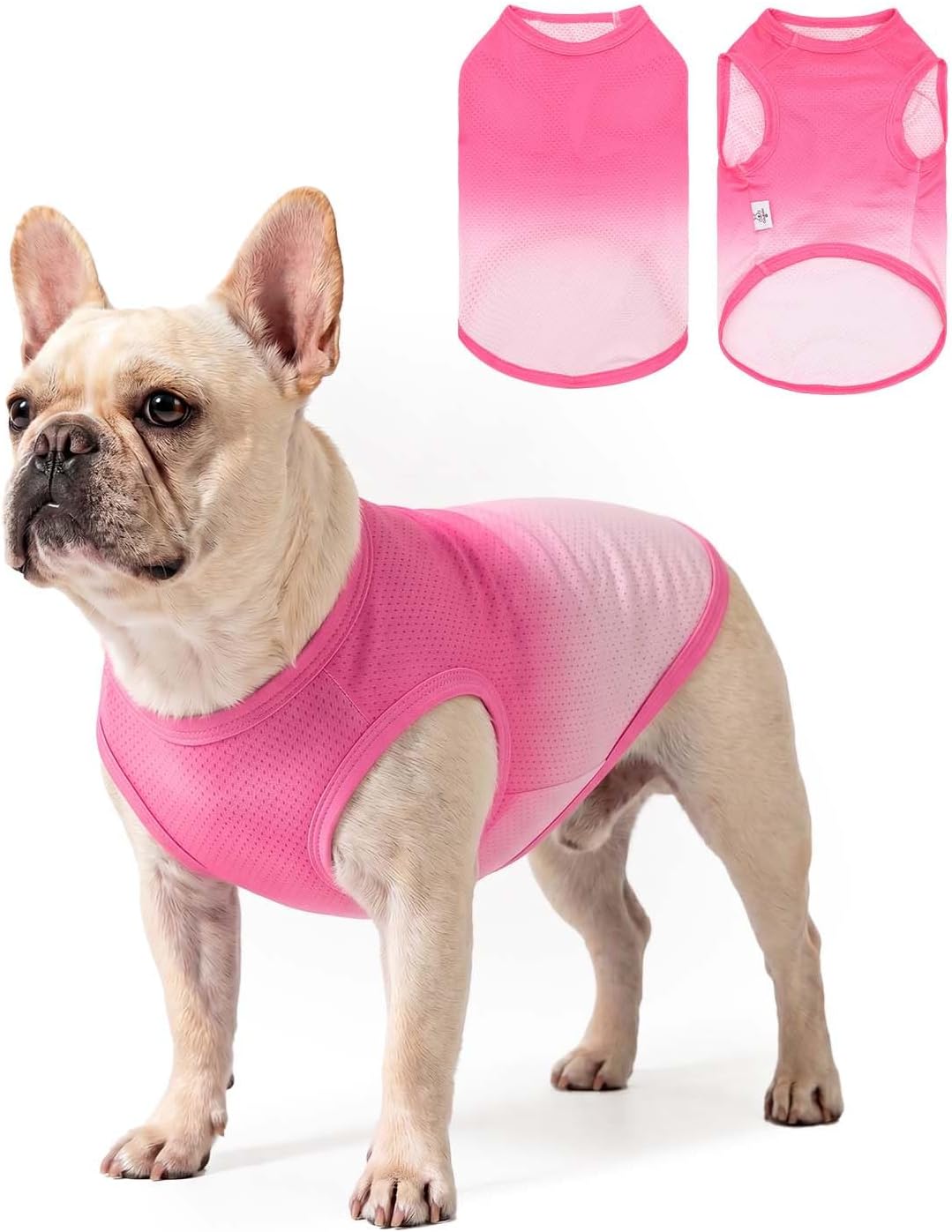 Thumbnail 6 de CuteBone Dog Tank Top, Polyester-Spandex Mesh