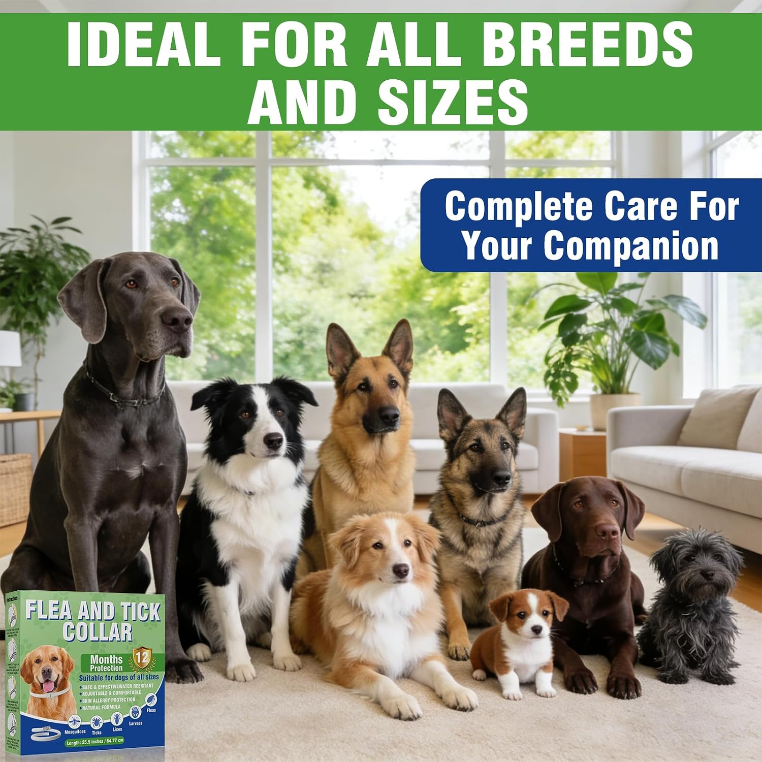 Detalle 2 de Collier Anti Puces pour Chien – 2 pack, ajustable jusqu’à 65 cm et protection jusqu’à 12 mois
