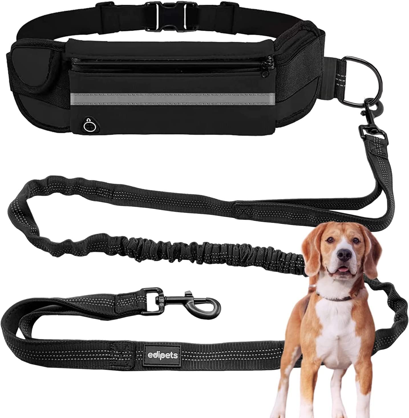 Detalle de Edipets Dog Running Lead 160–220 cm 🐕