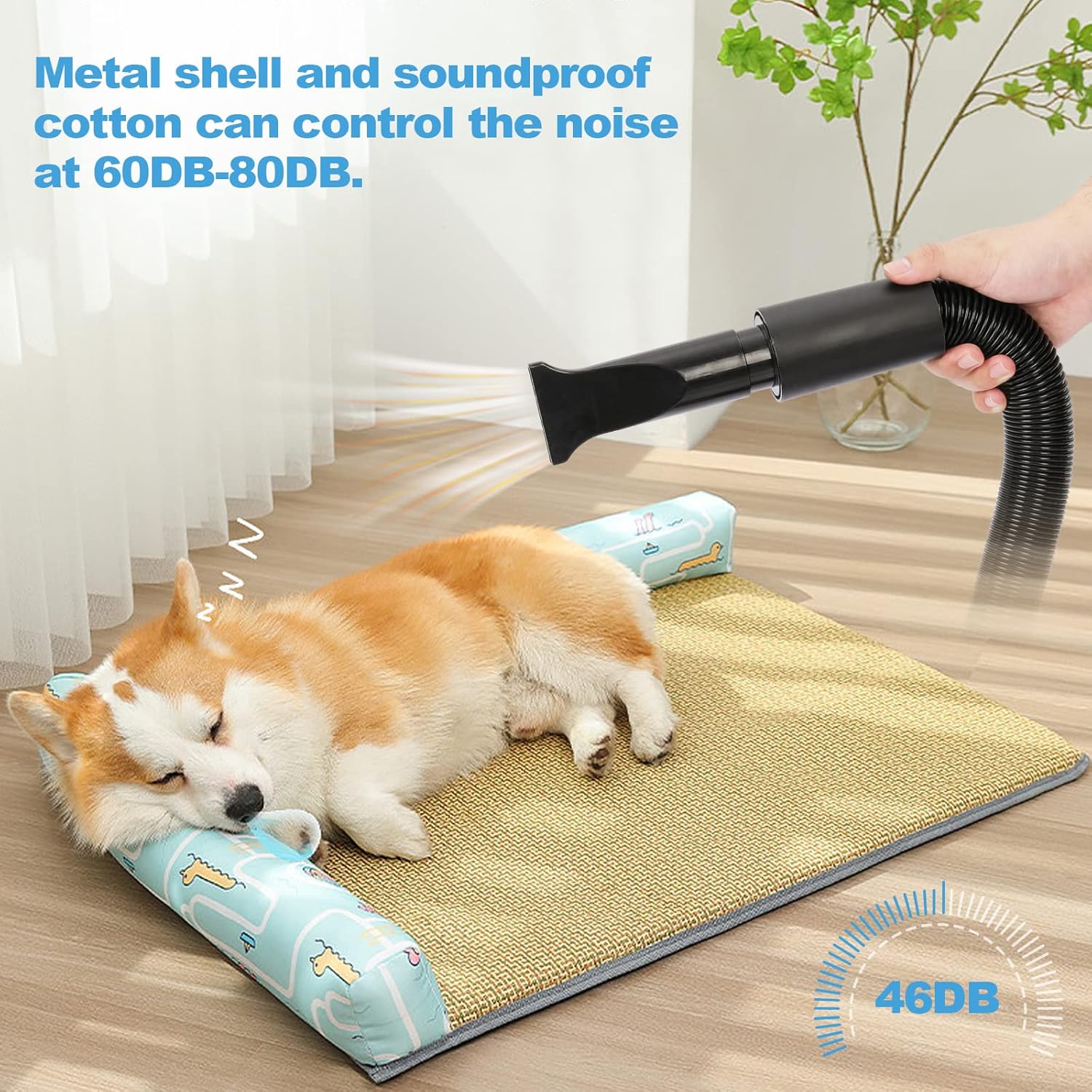 Detalle 2 de XKISS Soffiatore per Cani 3200W