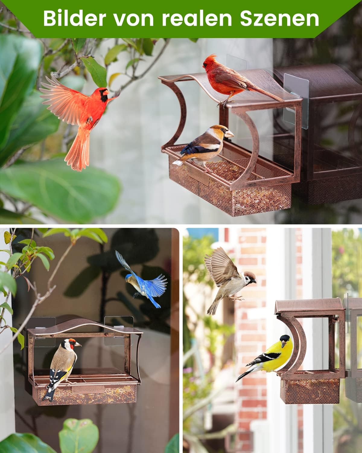 Detalle 2 de HouseSapp Fenster-Vogelfutterhaus 0,8 kg đŠ
