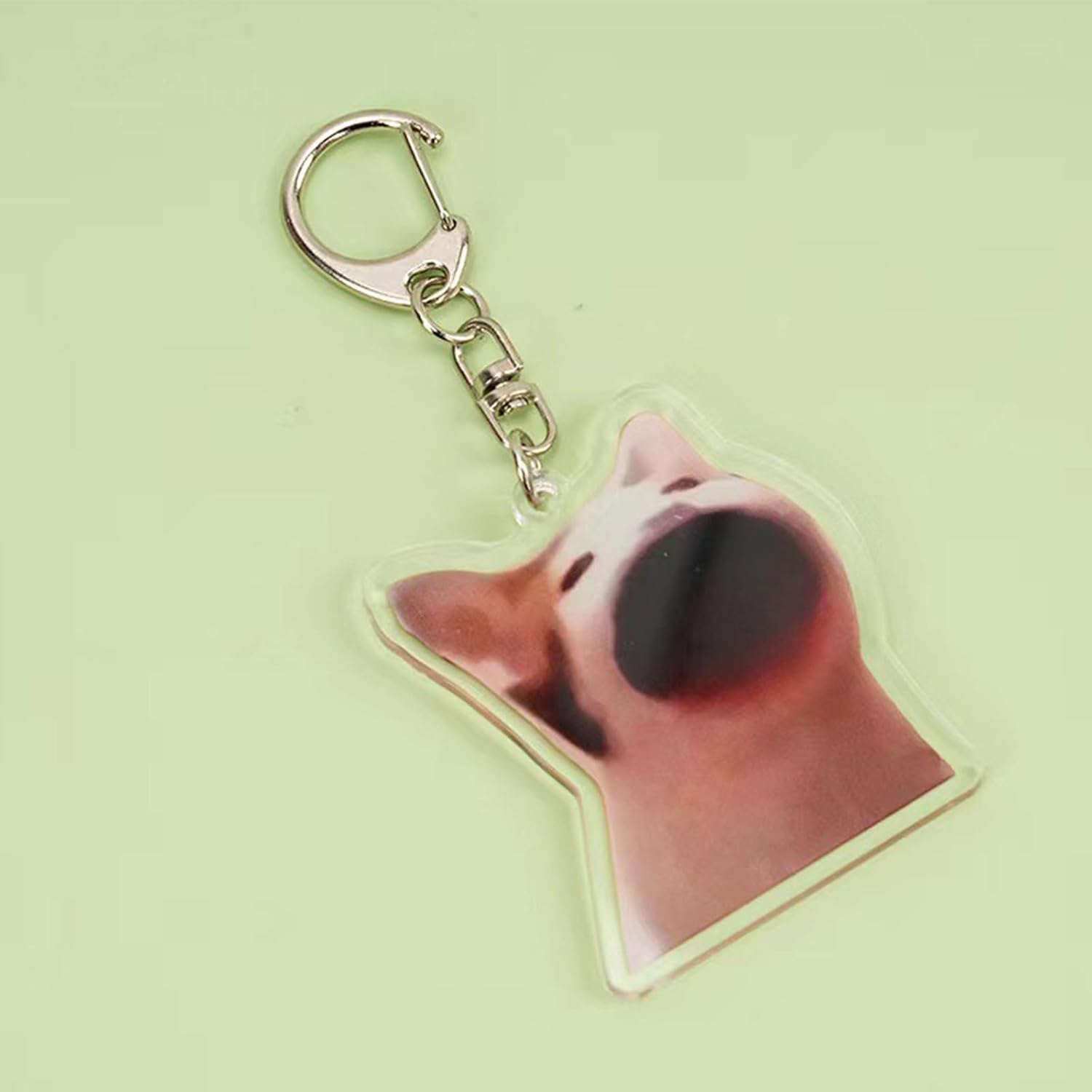 Detalle 2 de Novearring 9Pcs Funny Cat Meme Keychain Set
