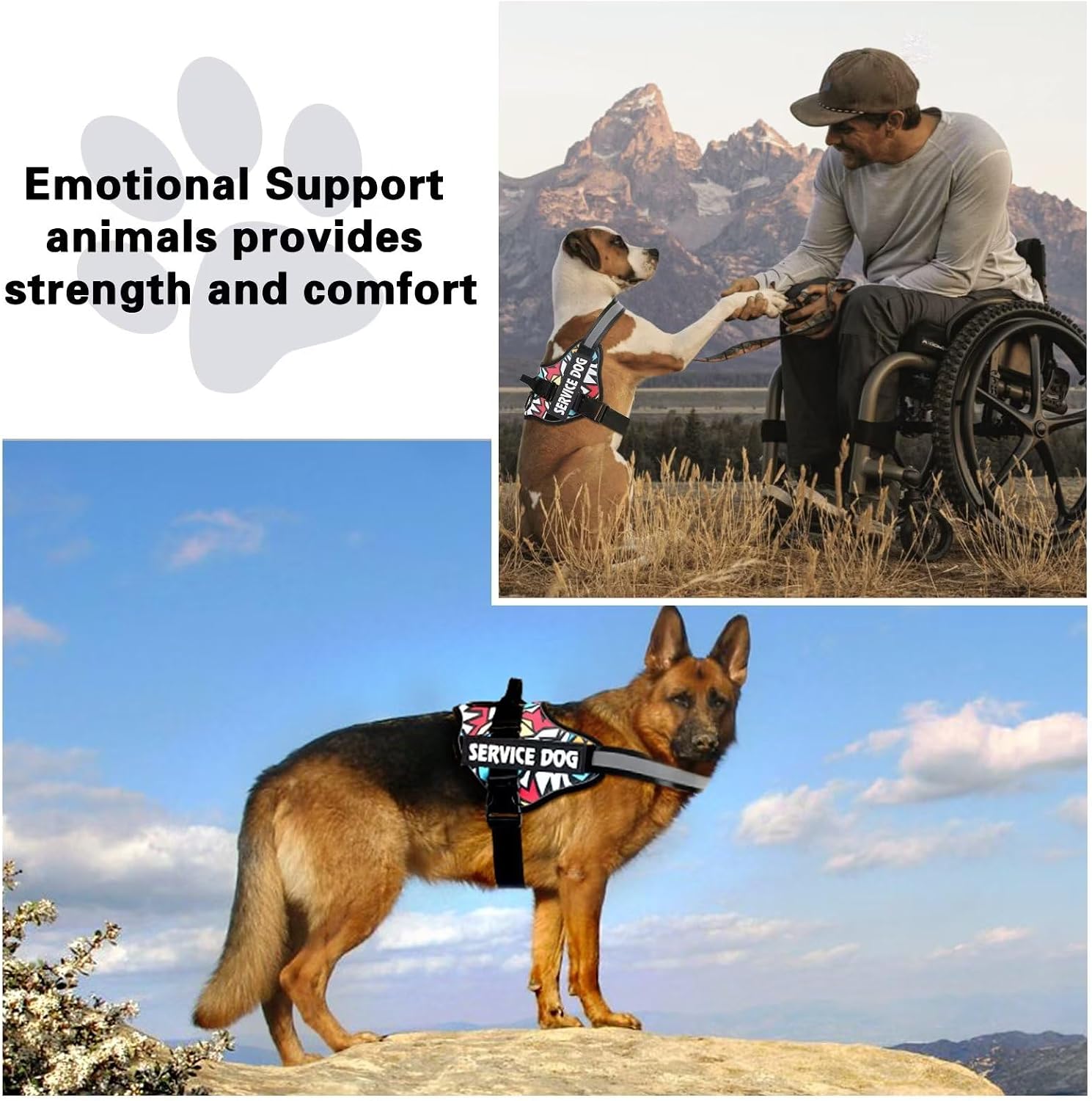 Thumbnail 6 de Belababy Service Dog Harness (Small/Medium/Large) – Adjustable Emotional Support & Training Vest with Handle, Reflective Strips (M, Lightning)