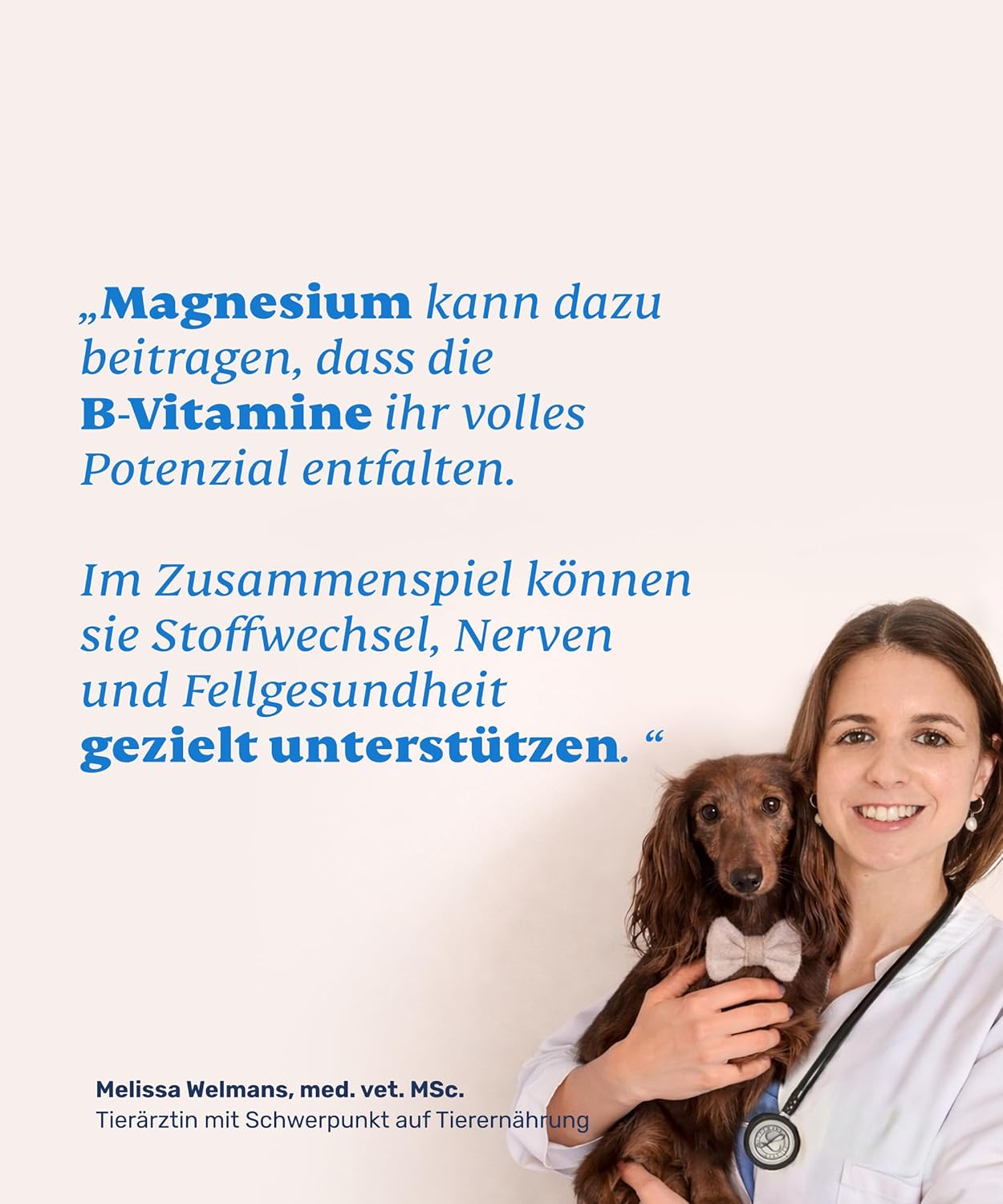 Thumbnail 6 de mammaly Vitamin B Komplex für Hunde mit Magnesium – Unterstützung für Nerven, Energie, Haut und Fell