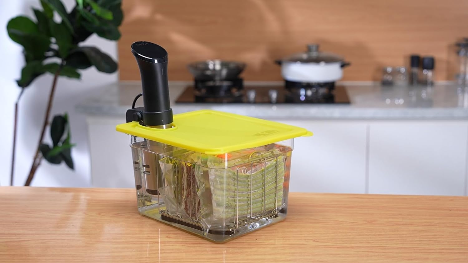 Thumbnail 6 de EVERIE Sous Vide Container 12 Quart Universal Lid and Rack 🥘