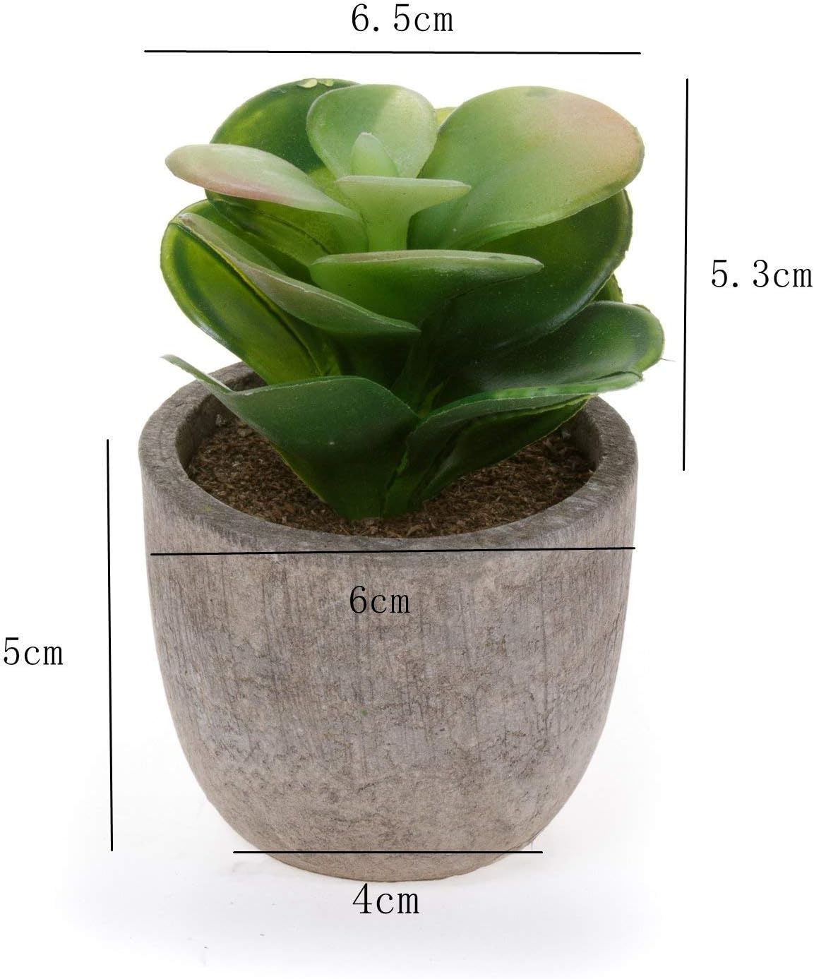 Thumbnail 5 de T4U Mini Artificial Succulent Plants, 6 Pack in Plastic Pots