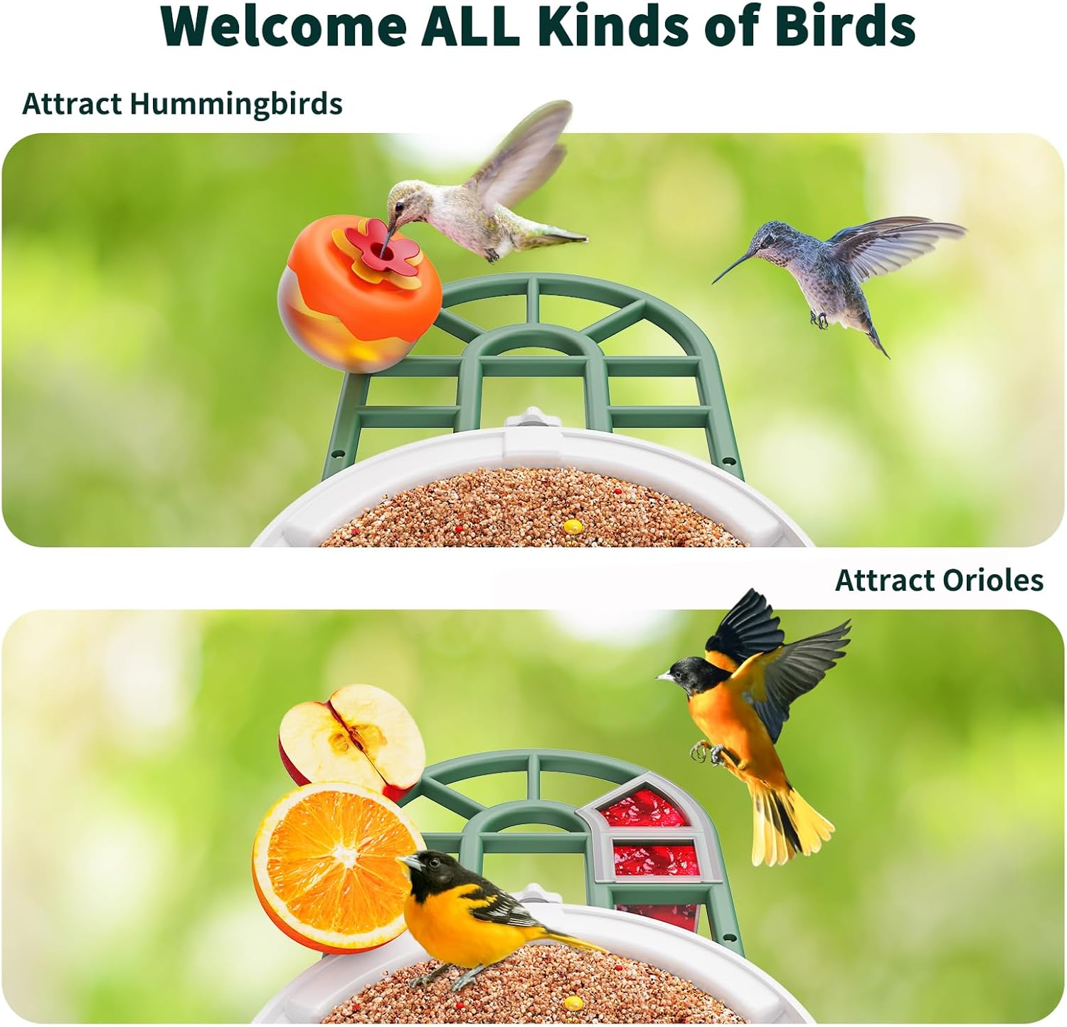 Detalle 2 de HARYMOR Smart Bird Feeder Camera, 2L