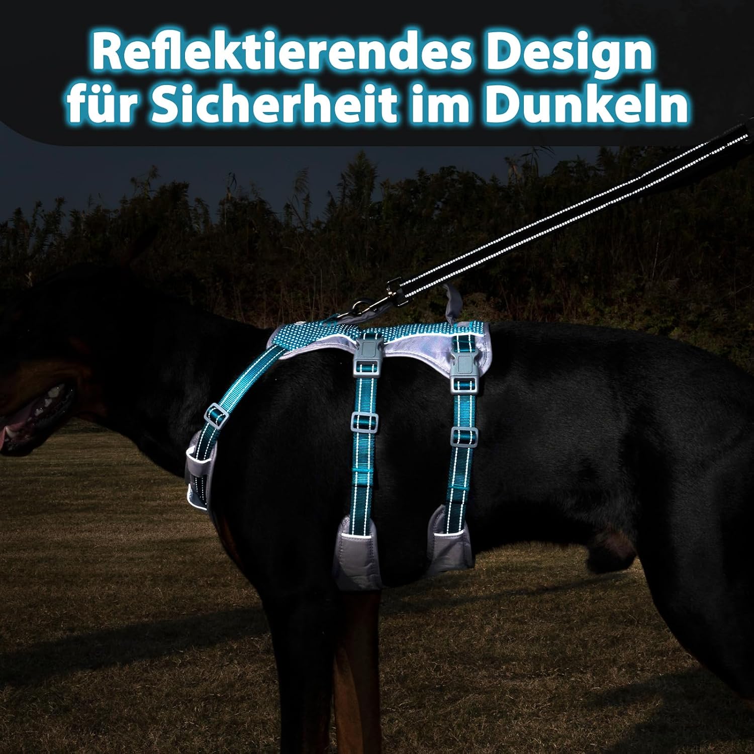 Detalle 2 de Huntboo Sicherheitsgeschirr M đ