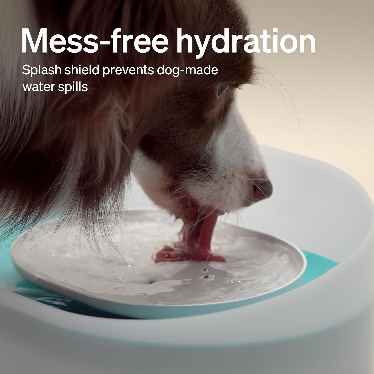 Detalle de PETLIBRO Dog Water Fountain 8L — anti-splash